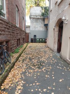 Kehrwoche - Innenhof mit Blätter