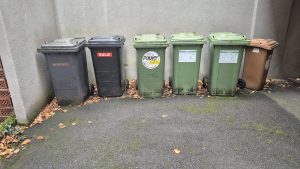 Abfalltonnen im Hof, Kehrwoche, Blätter im Herbst