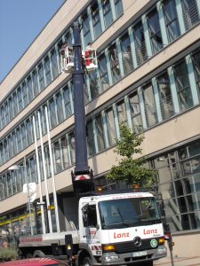 Fensterreinigung mit Hebebühne